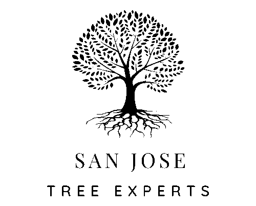 San Jose Tree Experts Logo